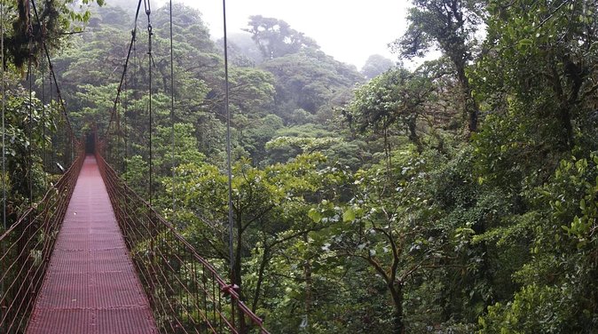 2-Day Extreme Nature Hike from La Fortuna to Monteverde - Key points to know before booking
