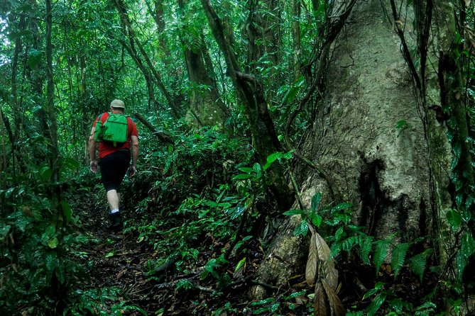 2-Day Extreme Nature Hike from La Fortuna to Monteverde - A real mountain crossing, not a scenic stroll