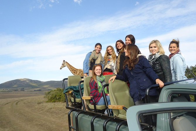 3 Day Big 5 and Bungee Tour - Garden Route Small Group Tour from Cape Town - Day 1: Cape Town to safari country