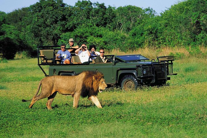 3 Day Big 5 and Bungee Tour - Garden Route Small Group Tour from Cape Town - Day 2: Market food, primates, and Bloukrans