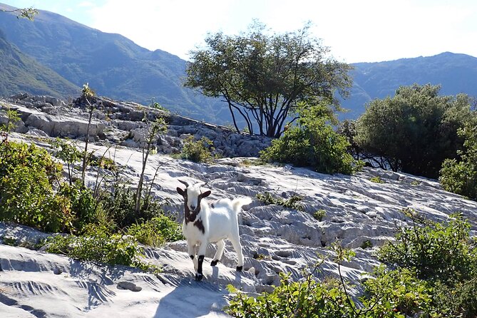 3-Hour Easy Via Ferrata to Sentiero Colodri for whole Family - Why the Views and Achievement Matter
