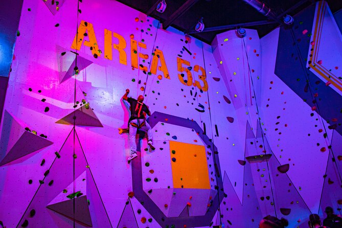 3 Hour Session at Williamsburg's Adventure Park Area 53 - The climbing, ropes, and zip line area