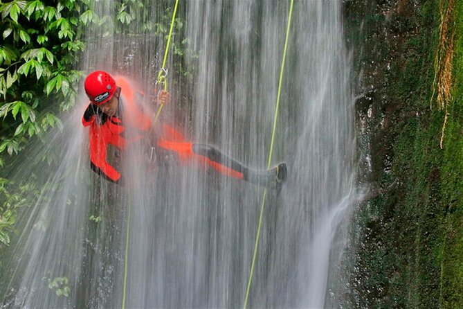 3Hrs Intermediate Canyoning in North Bali (Pickup, Lunch & GoPro) - The jungle setting and the pace of the day