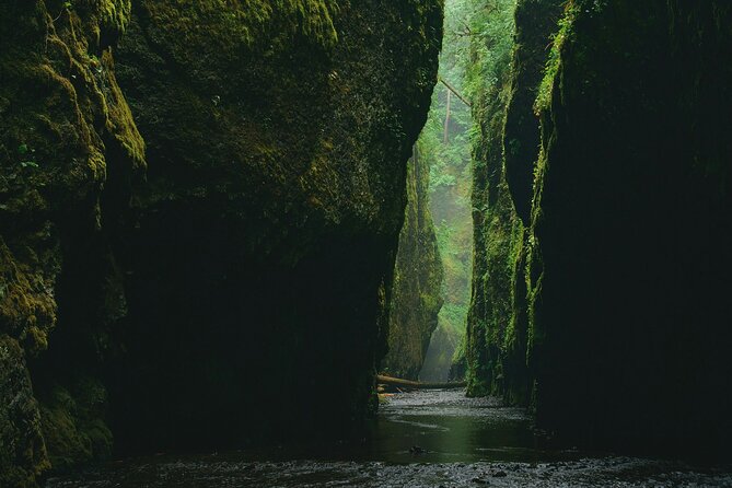 3Hrs Intermediate Canyoning in North Bali (Pickup, Lunch & GoPro) - Is $149 a fair price?