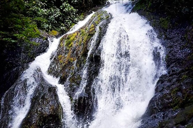 5 Hour Off-Road ATV+ Zipline+ Waterfall Rappelling+ Tractor Jungle Tour - ATV riding through mud and jungle