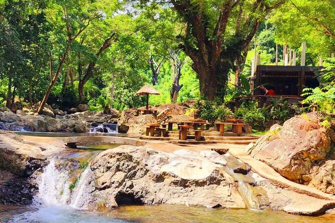 6 Hours Giant Zipline Adventure Park in Fiji - Waterfalls, forest paths, and the part that divides the day