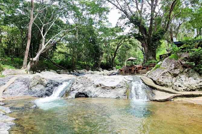 6 Hours Giant Zipline Adventure Park in Fiji - Pizza lunch and the Jurassic Park stop