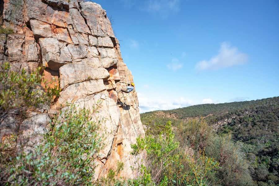 Adelaide: Rock Climb and Abseil Onkaparinga National Park - Native Wildlife Along the Climbing Area