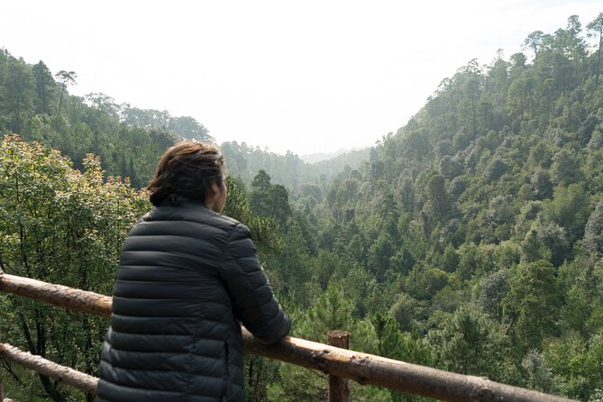 Admission to the Alpinia Nature and Adventure Park - The obstacle course adds physical challenge