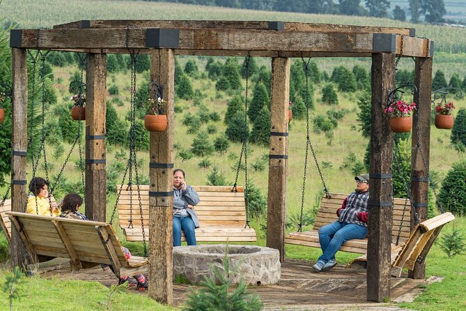 Admission to the Alpinia Nature and Adventure Park - The giant maze takes center stage