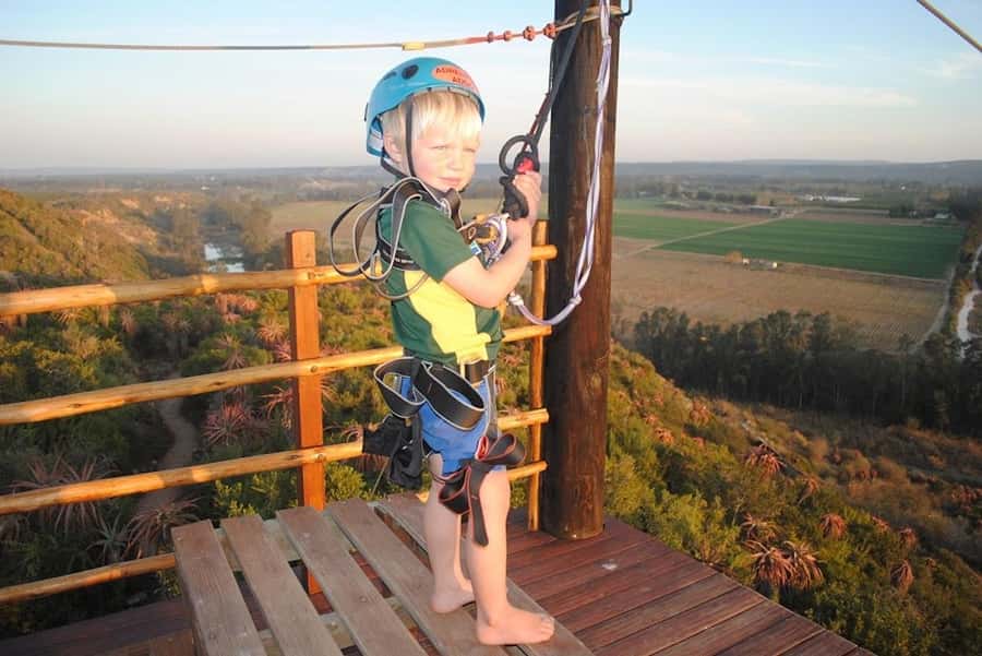 Adrenalin Addo Adventure Park: Zip Line and Giant Swing - Should you book Adrenalin Addo?