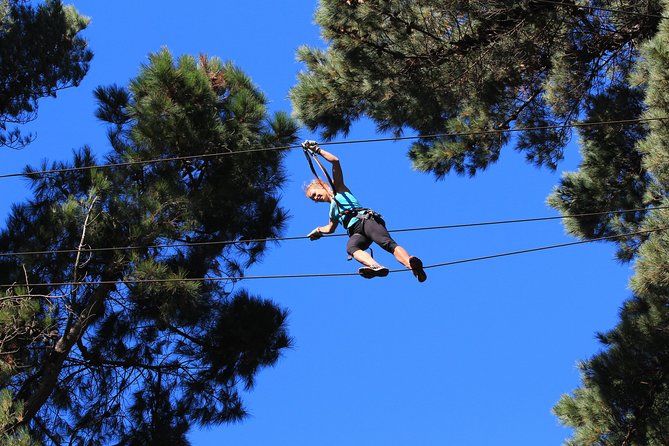 Adrenalin Forest Auckland - Key points before you book