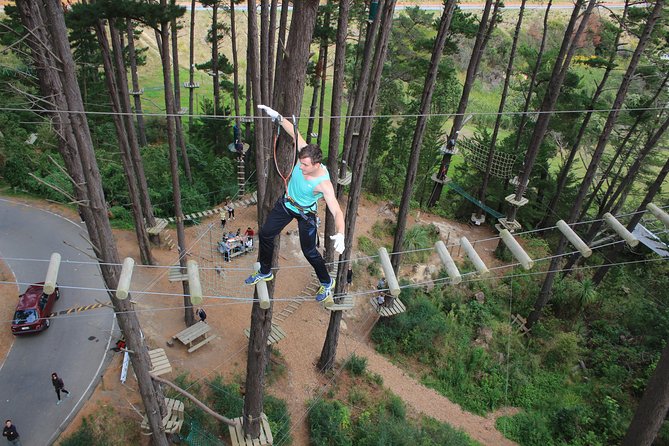 Adrenalin Forest Auckland - A forest course that lets you set the pace