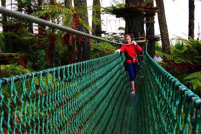Adrenalin Forest Auckland - The first levels are useful, not just easy