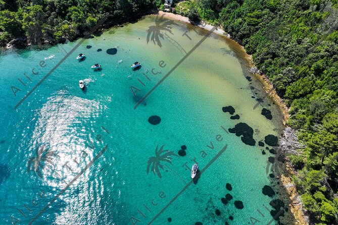 Adrenaline Adventure on Speedboat with 3 stops and Snorkeling - Meeting up without confusion