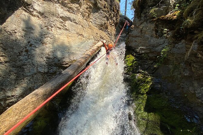 Adrenaline Canyoning Kelowna - Who will enjoy this most