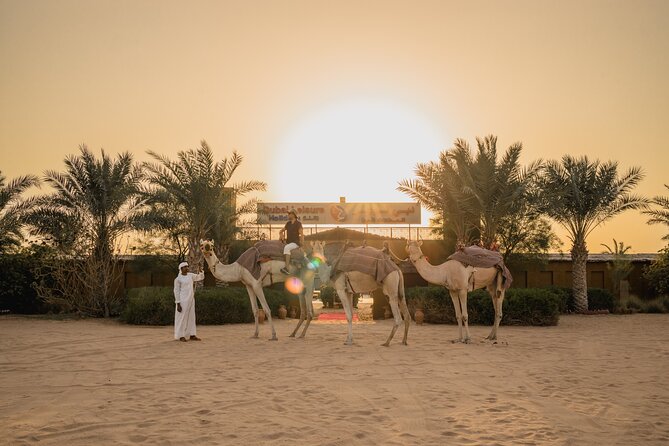 Adrenaline combo : Desert activities + ATV or Quad bike option - Who will enjoy this desert combination most
