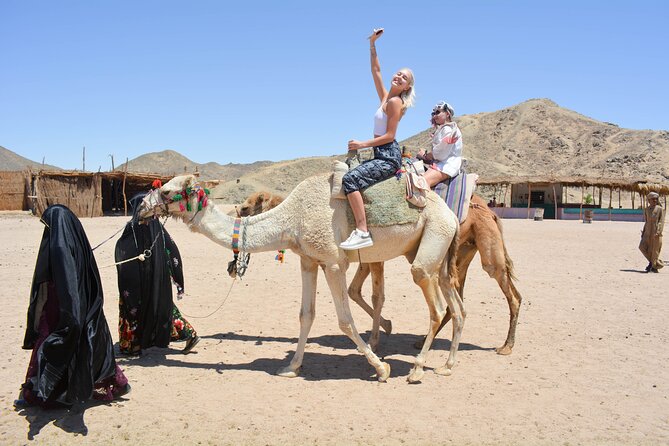 Adrenaline Full Day Safari By ATV quad with Dinner and Night Show - Quick points before you book