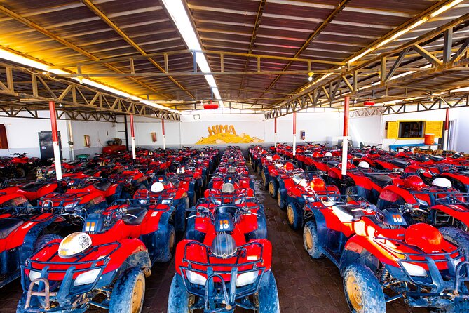 Adrenaline Full Day Safari By ATV quad with Dinner and Night Show - BBQ dinner beneath the stars
