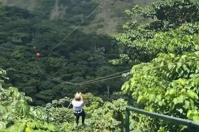 Adrenaline Total: Zipline Tour in Punta Cana - Towers, ropes, and the first burst of courage