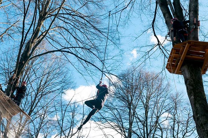 Adult Daily ticket for Adventure Park in Gravedona - Making the most of the 1 to 8 hour visit