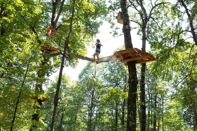 Adult Daily ticket for Adventure Park in Gravedona - Best fit for families and active groups