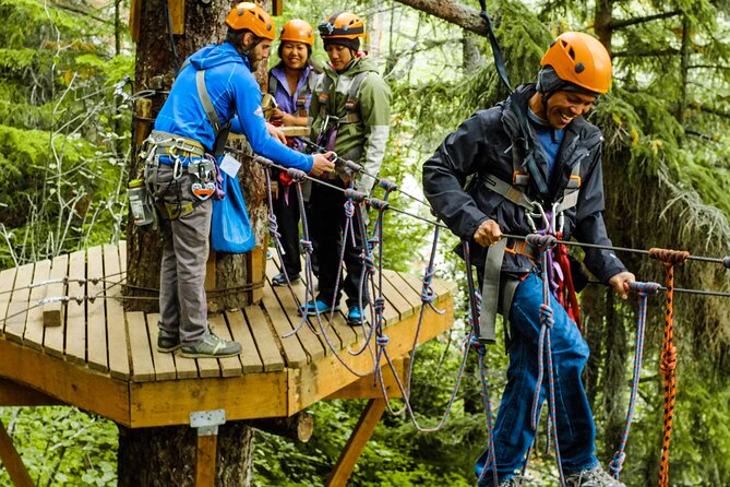 Adventure Parks & Zipline Tour - Six ziplines through the Alaskan canopy