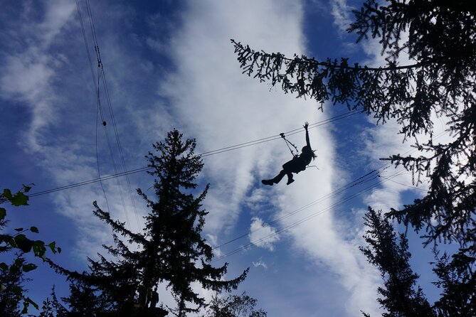Adventure Parks & Zipline Tour - Group size, pace, and the real time commitment