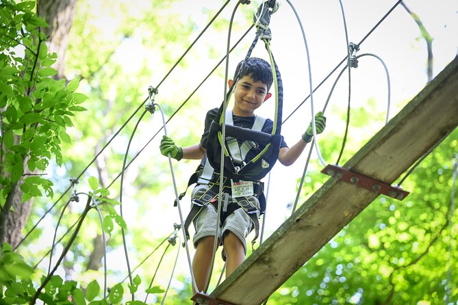 Aerial Adventure Park Admission - Key points to know before you go