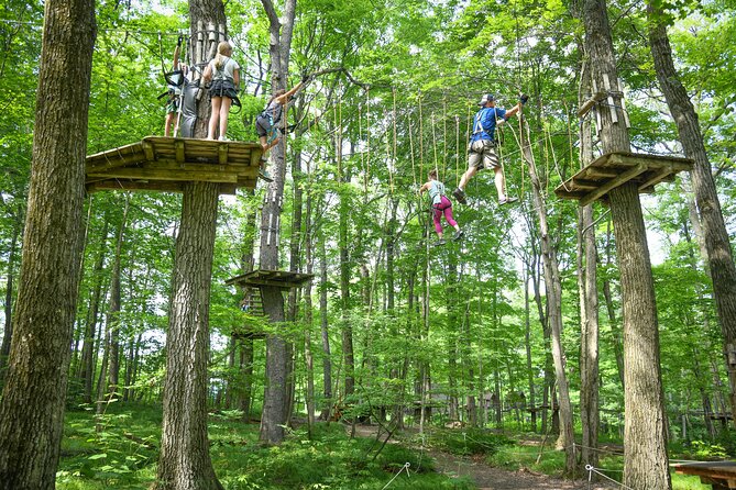 Aerial Adventure Park Admission - The resort setting and nearby activities