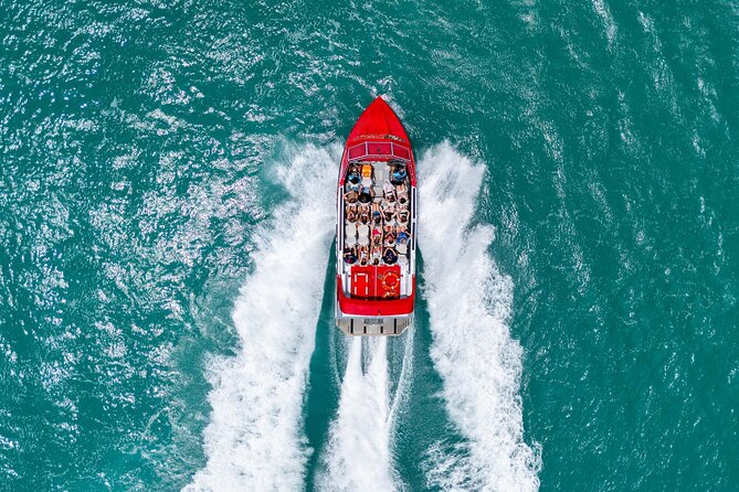 Airlie Beach Jet Boat Thrill Ride - Wildlife and views around Pioneer Bay