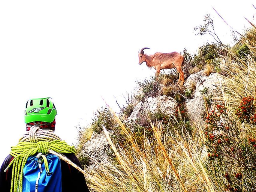 Alicante: Via Ferrata del Ponoig Guided Trek and Climb - What to bring for a better day