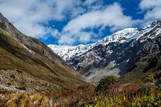 Arthur’s Pass Tour From Christchurch With Jet Boat & TranzAlpine - Key points to know before booking