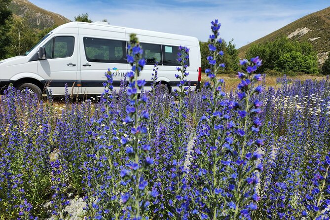 Arthur’s Pass Tour From Christchurch With Jet Boat & TranzAlpine - Why this Arthur’s Pass day works so well