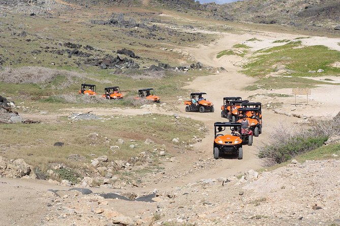 Aruba UTV Tour with Natural Cave Pool and Cliff Jumping - What the $121.80 price gets you