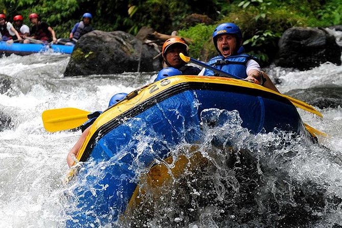 Bali 10 Kilometers Extreme Ayung River Rafting with Lunch - Who should book this Ayung River trip?