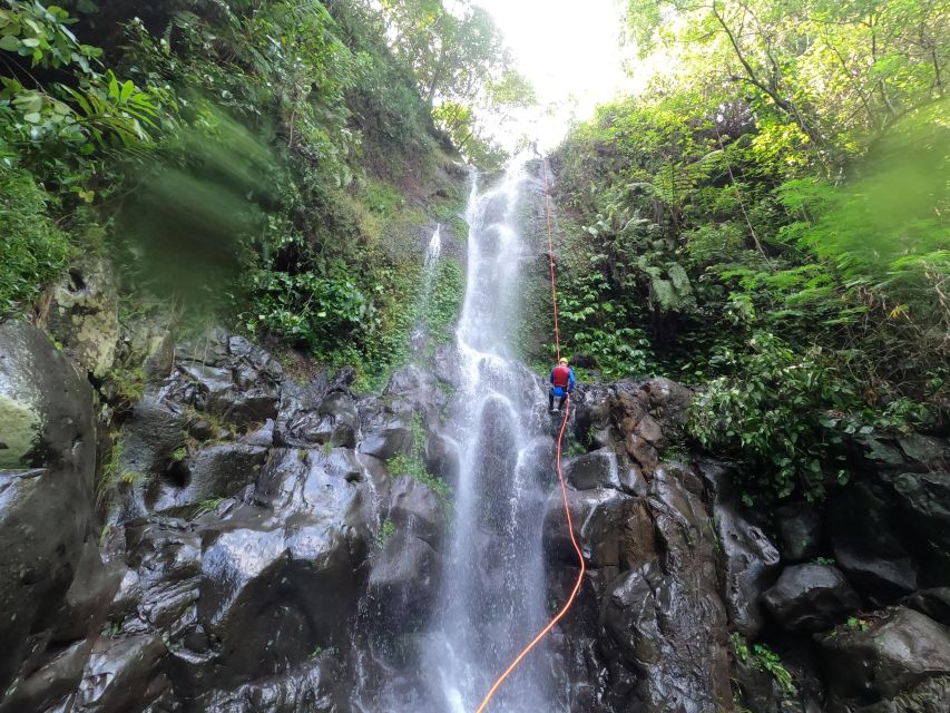 Bali: Alam Canyon The Natural Canyoning Adventure - The narrow gorge: jumps, slides, and cold water