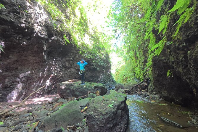 Bali Canyoning Trip – Explore Hidden Waterfalls & Gorges - Through bamboo forest to the canyon