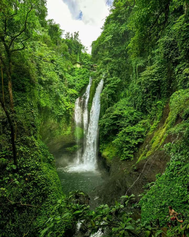 Bali: Cliff Jumping Gitgit Waterfalls & Rice Terrace Tour - Gitgit Waterfall: jungle paths and a powerful cascade