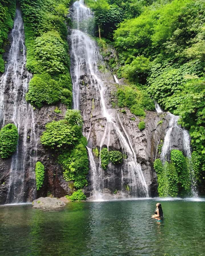 Bali: Cliff Jumping Gitgit Waterfalls & Rice Terrace Tour - Who should book this tour?