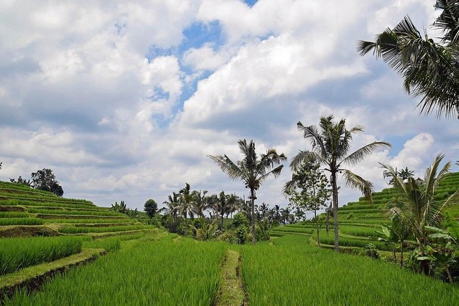 Balliswing.Feel the natural breeze as you paddle a giant swing in the stunning scenery!Instagram-worthy photo spot / Round trip hotel transfers included - Key points at a glance