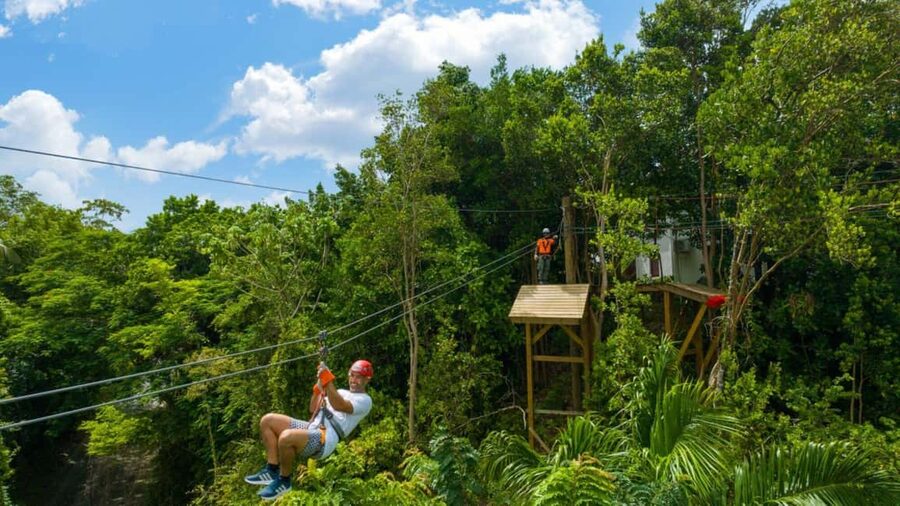 Barbados: Harrison's Cave Adventure Park Pass - Key points to know before you book
