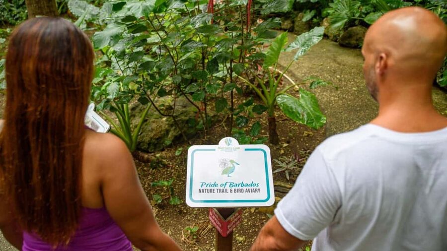 Barbados: Harrison's Cave Adventure Park Pass - Is the $185 price good value?