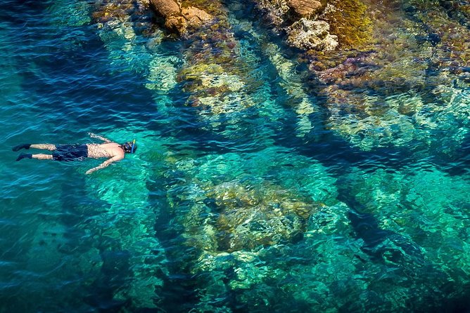 Barcelona Costa Brava Kayak, Snorkel & Cliff Jump Day Tour - Why this Costa Brava day is worth leaving Barcelona for