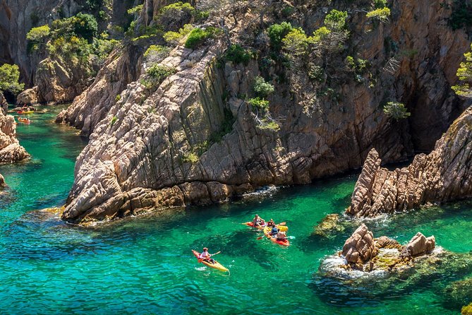Barcelona Costa Brava Kayak, Snorkel & Cliff Jump Day Tour - Cliff jumping for those who want it