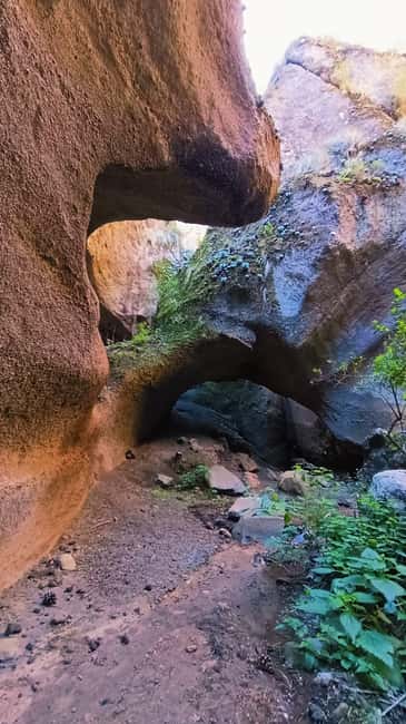 Barranquismo Tenerife: Canyoning Adventure - Key points to know before booking