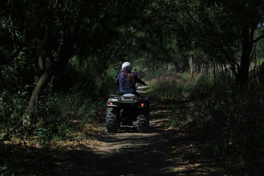 Batumi: Extreme Escape – ATV, Buggy, Horses & Hike - Optional parasailing along the Batumi coast