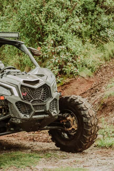 Batumi: Extreme Escape – ATV, Buggy, Horses & Hike - Practical booking advice for Batumi
