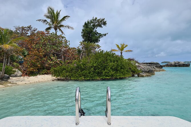 Bermuda Private Boat Charter: Snorkel, Cliff Jumping & Sightseeing - Price and value for families and larger groups