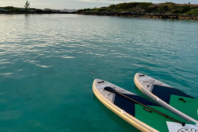 Bermuda Private Catamaran:Snorkeling, Shipwrecks & Cliff Jumping - Snorkeling over reefs and shipwrecks